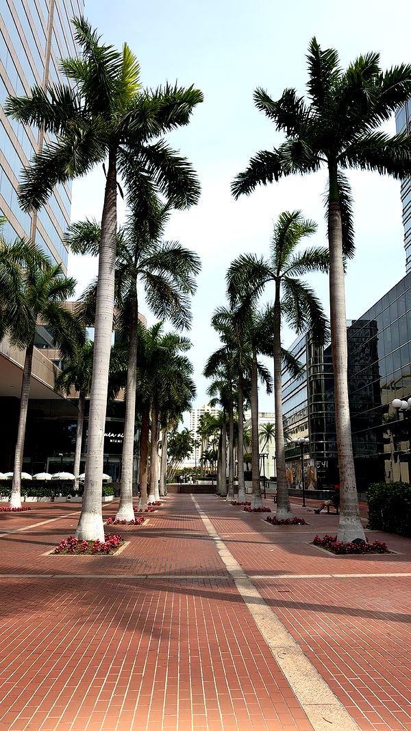 bellarenaldii image ~ Altpins