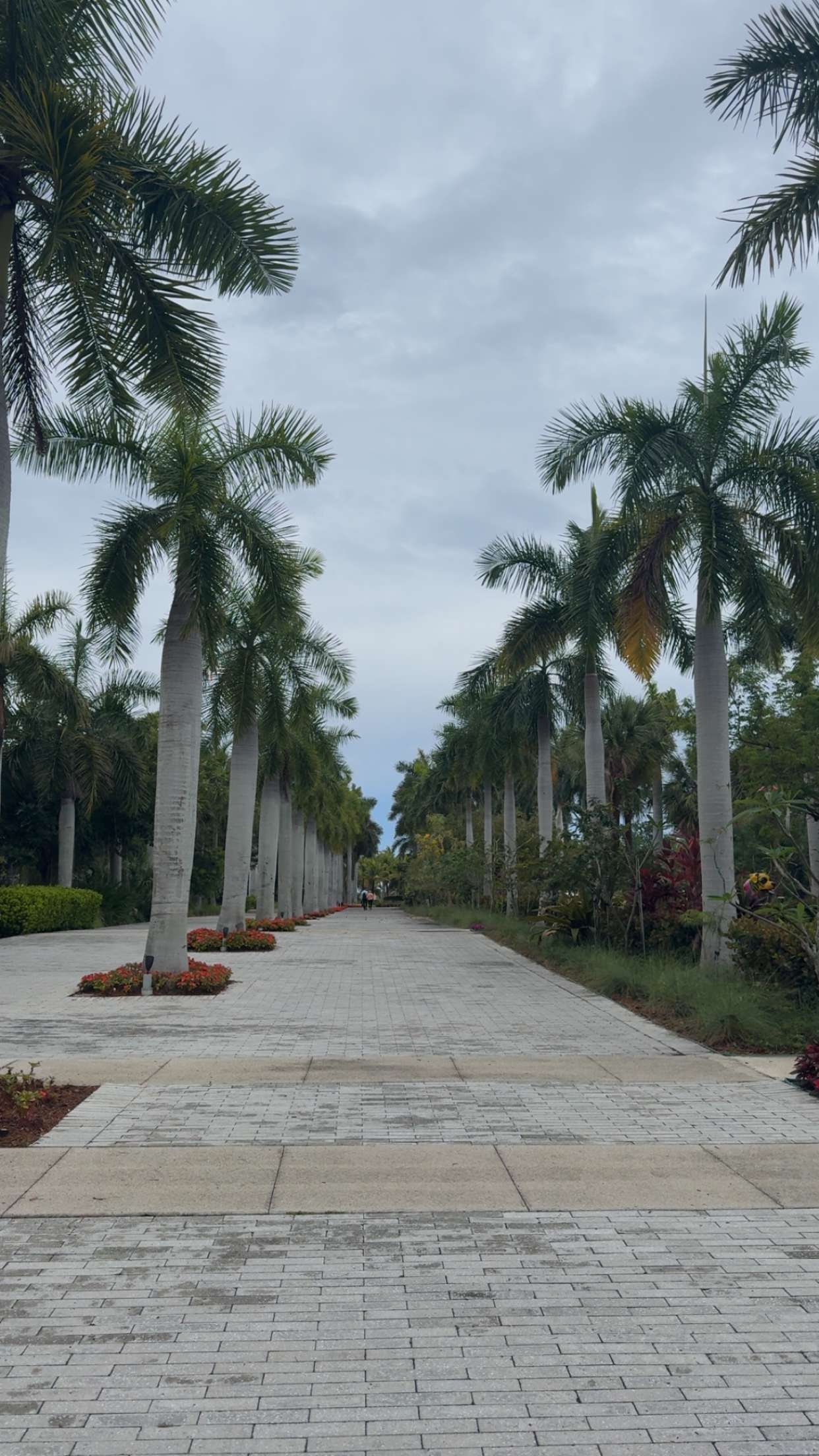 bellarenaldii snapchat image archive image