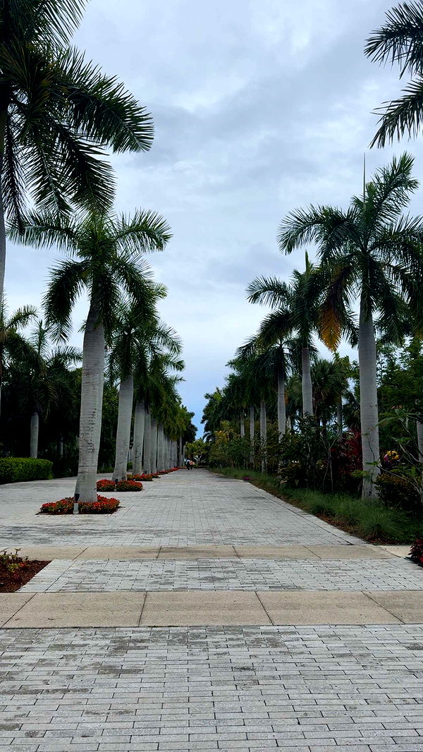 bellarenaldii image ~ Altpins