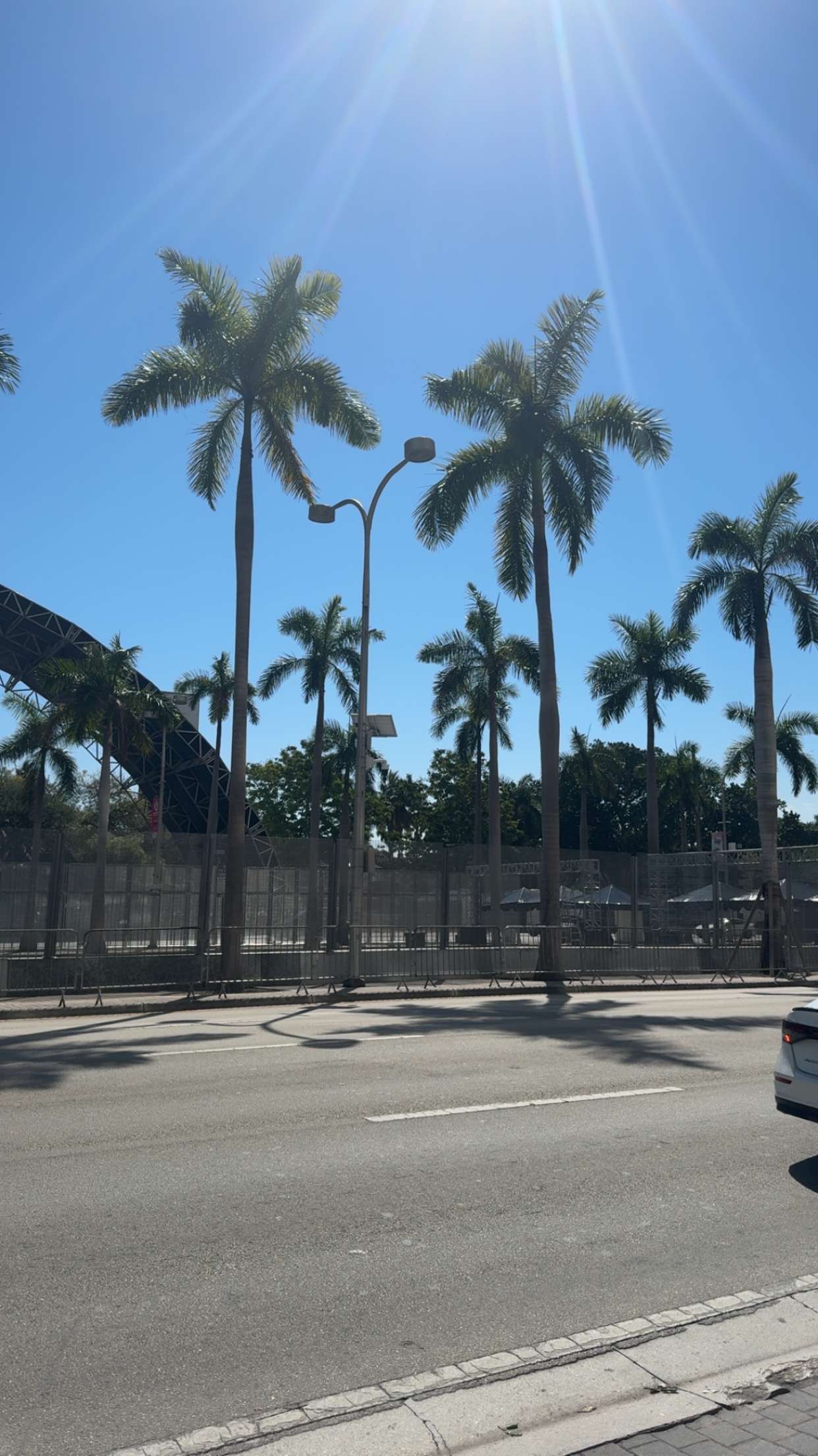 bellarenaldii snapchat image archive image