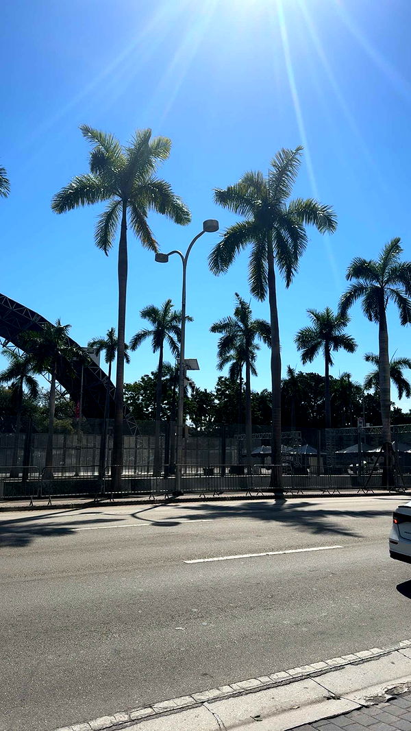 bellarenaldii image ~ Altpins