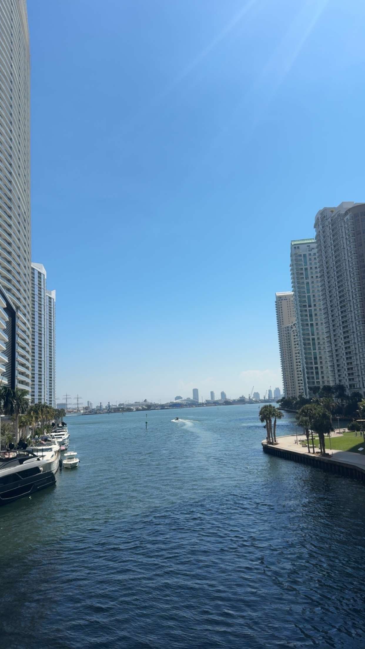 bellarenaldii snapchat image archive image