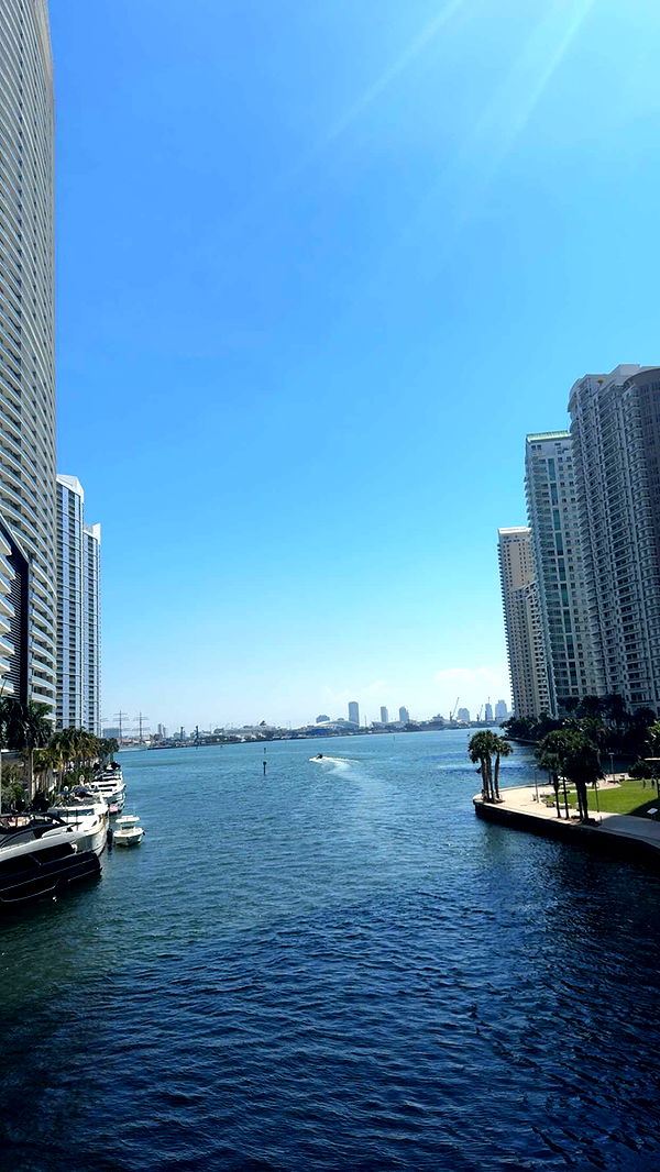 bellarenaldii image ~ Altpins