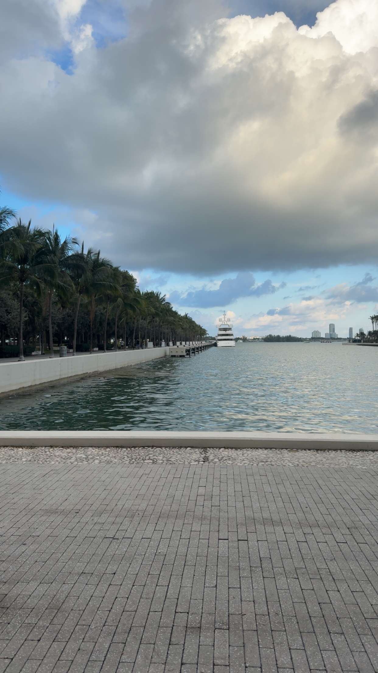 bellarenaldii snapchat image archive image