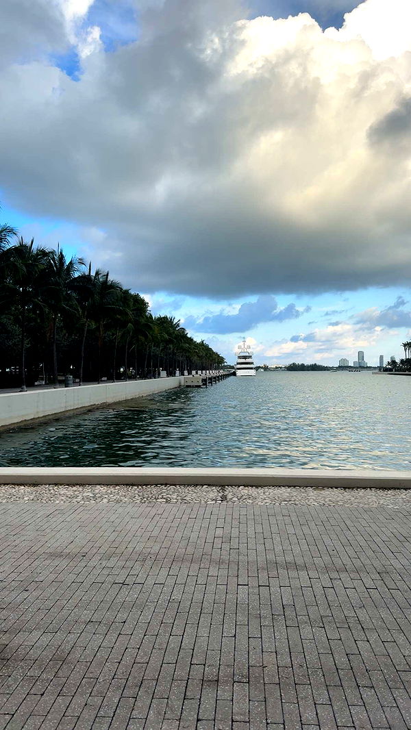 bellarenaldii image ~ Altpins