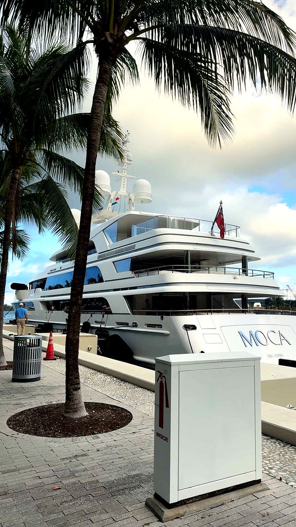 bellarenaldii image ~ Altpins