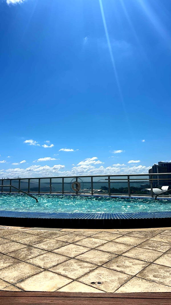 bellarenaldii image ~ Altpins