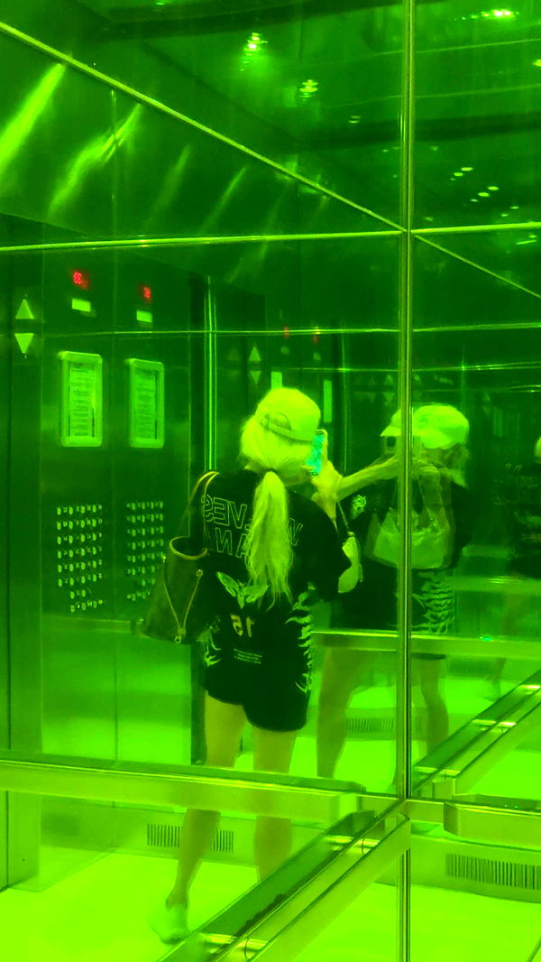 bellarenaldii image ~ Altpins