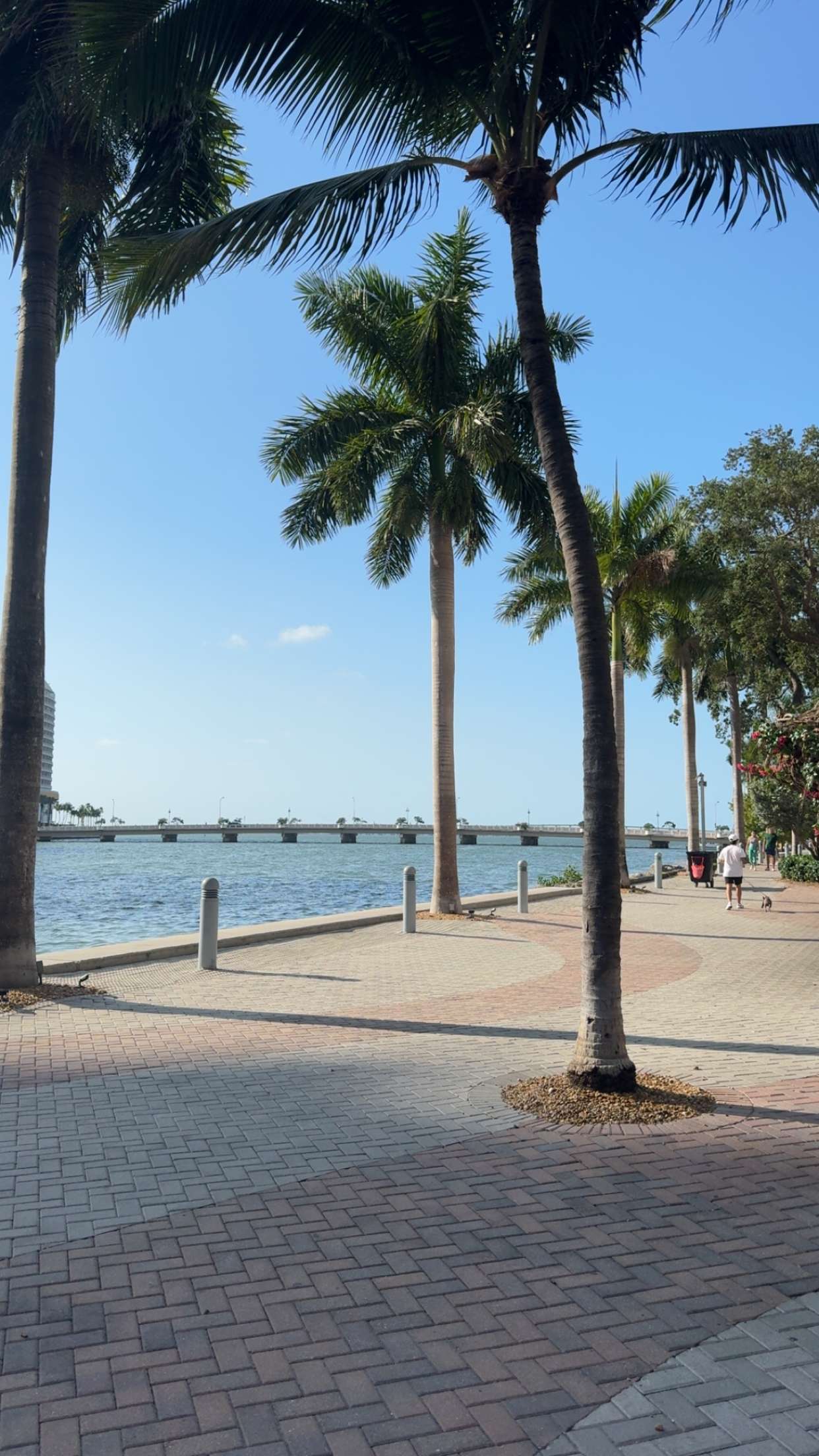 bellarenaldii snapchat image archive image