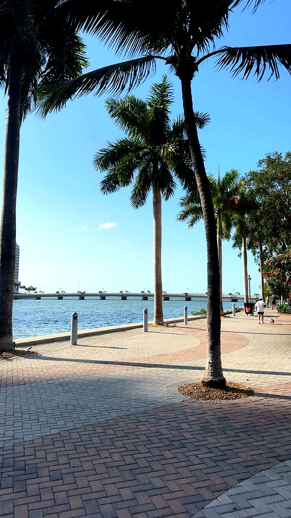 bellarenaldii image ~ Altpins