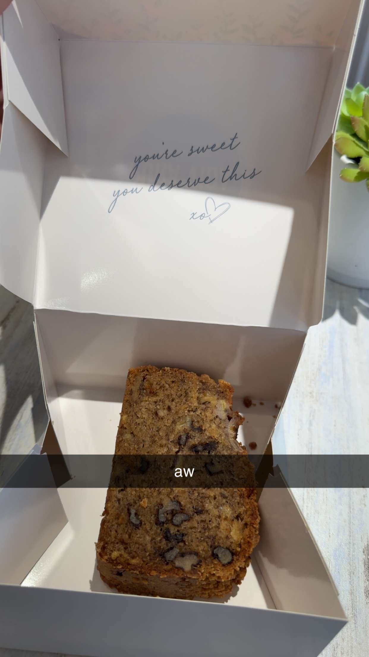 bellarenaldii snapchat image archive image