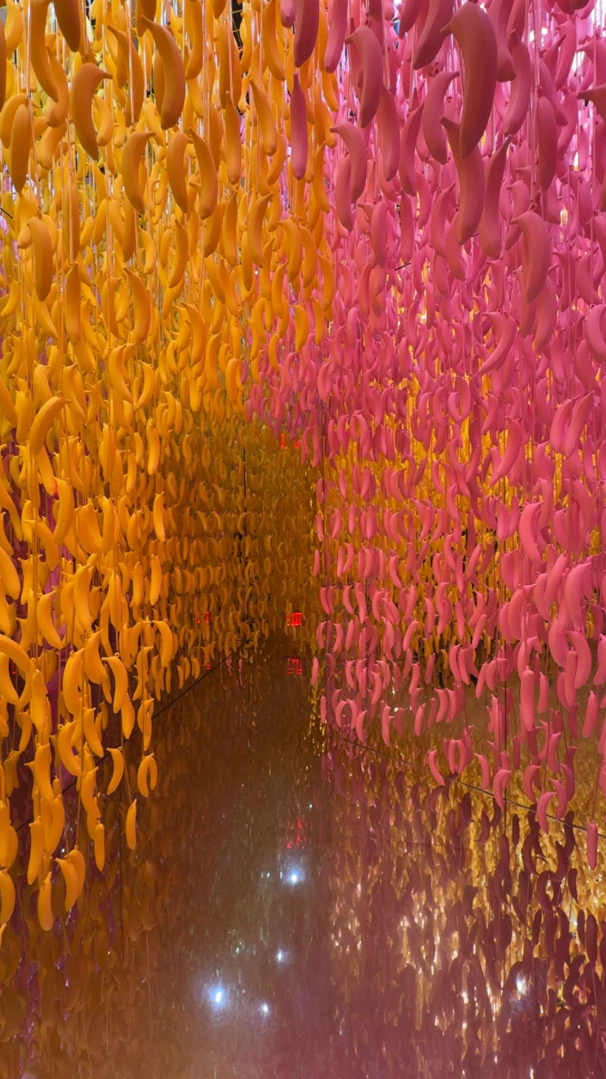 bellarenaldii snapchat image archive image