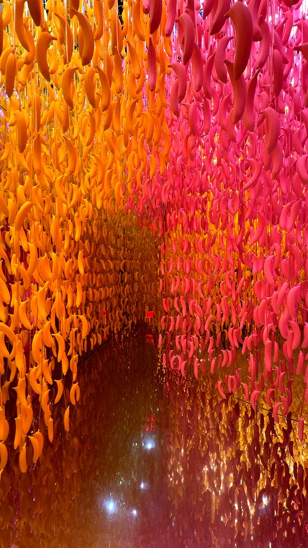 bellarenaldii image ~ Altpins