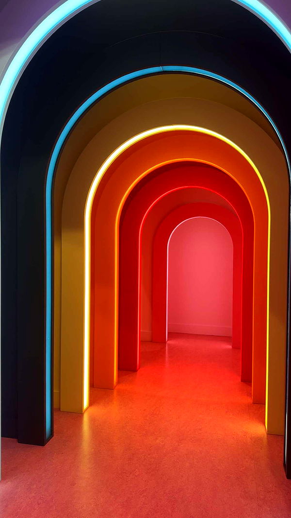 bellarenaldii image ~ Altpins