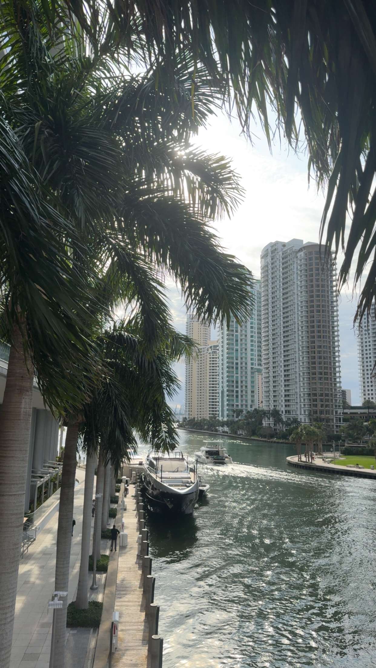 bellarenaldii snapchat image archive image