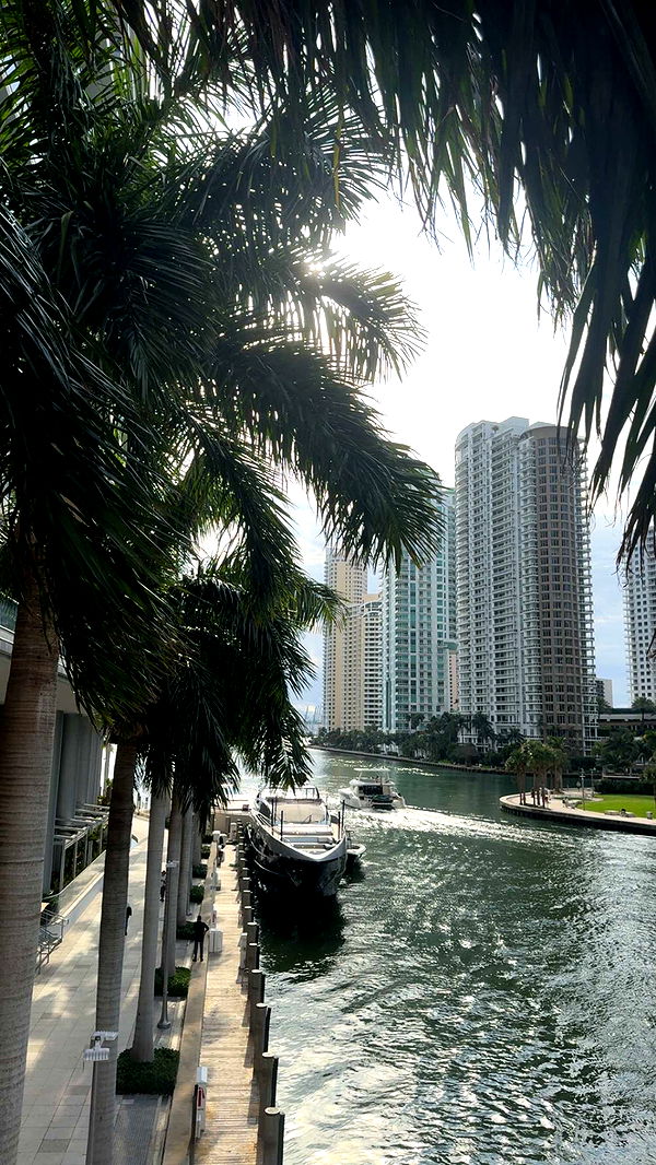 bellarenaldii image ~ Altpins