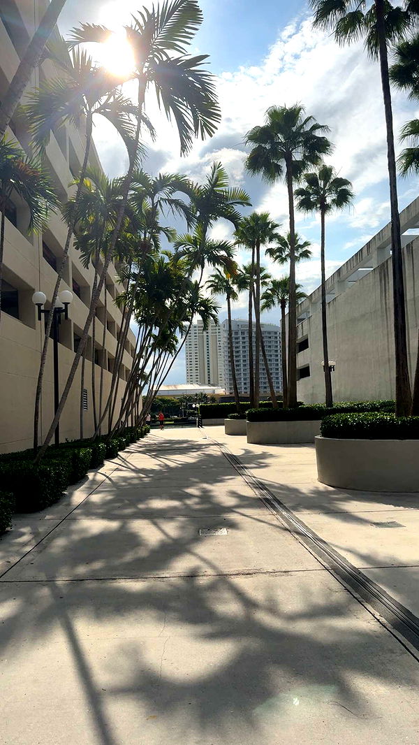 bellarenaldii image ~ Altpins