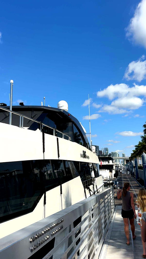 bellarenaldii image ~ Altpins