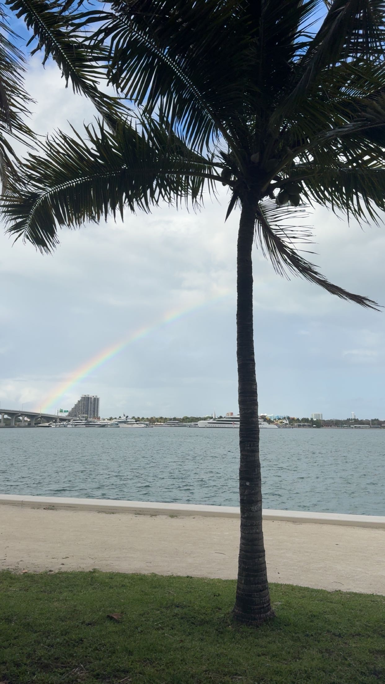 bellarenaldii snapchat image archive image