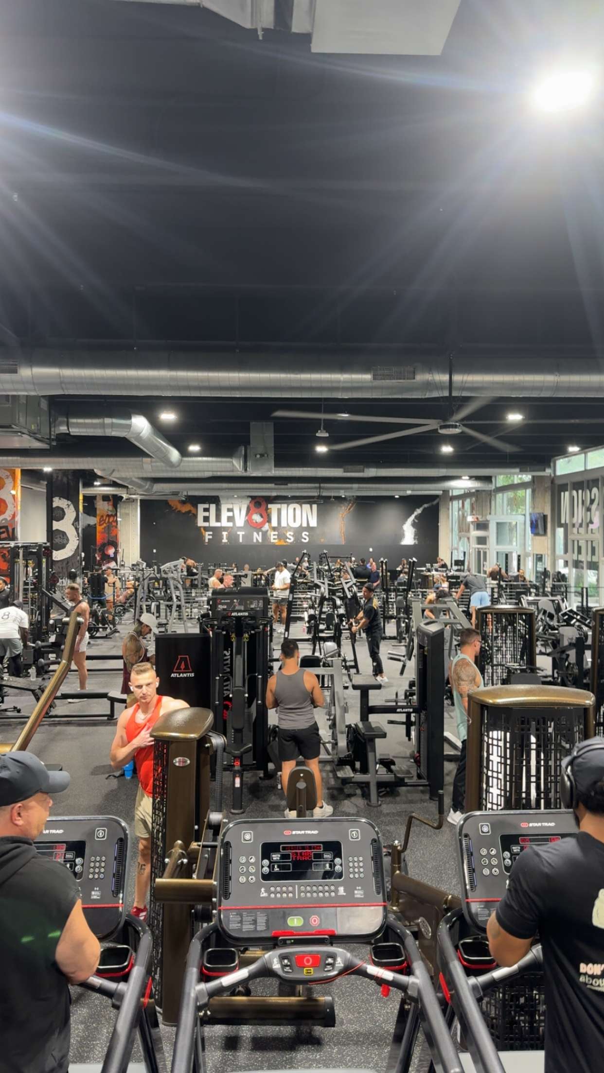 bellarenaldii snapchat image archive image