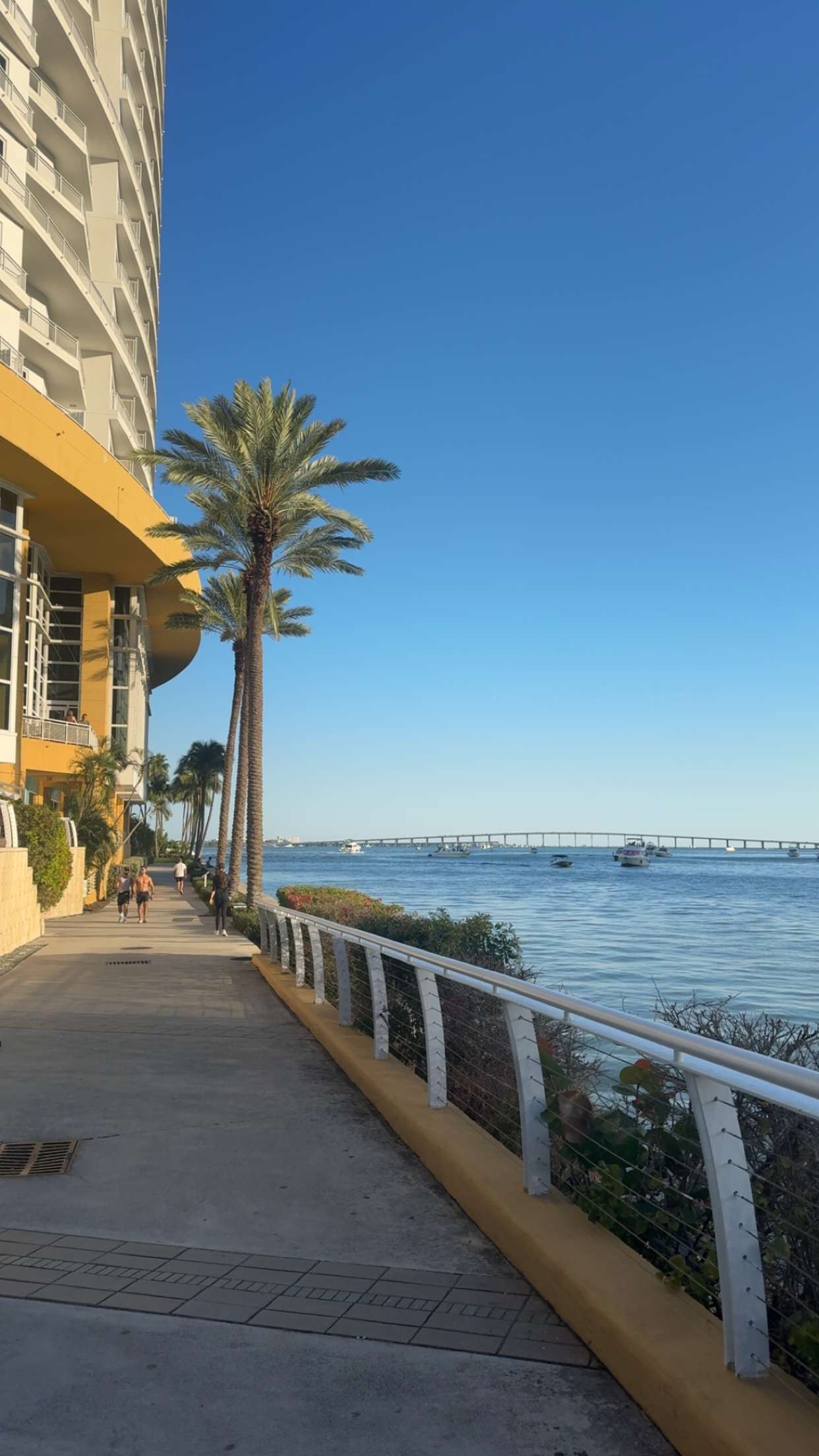 bellarenaldii snapchat image archive image