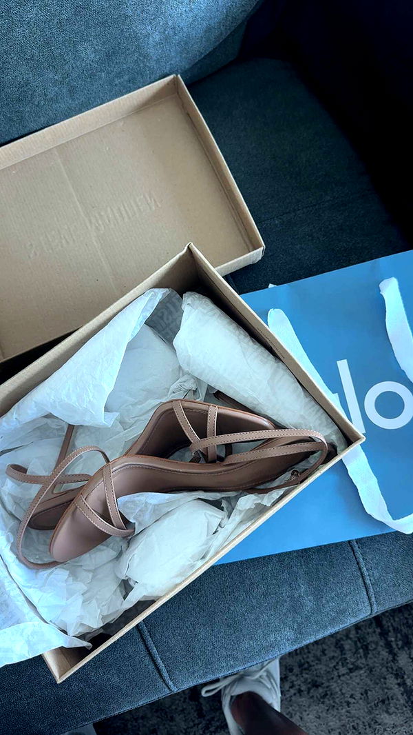 bellarenaldii image ~ Altpins