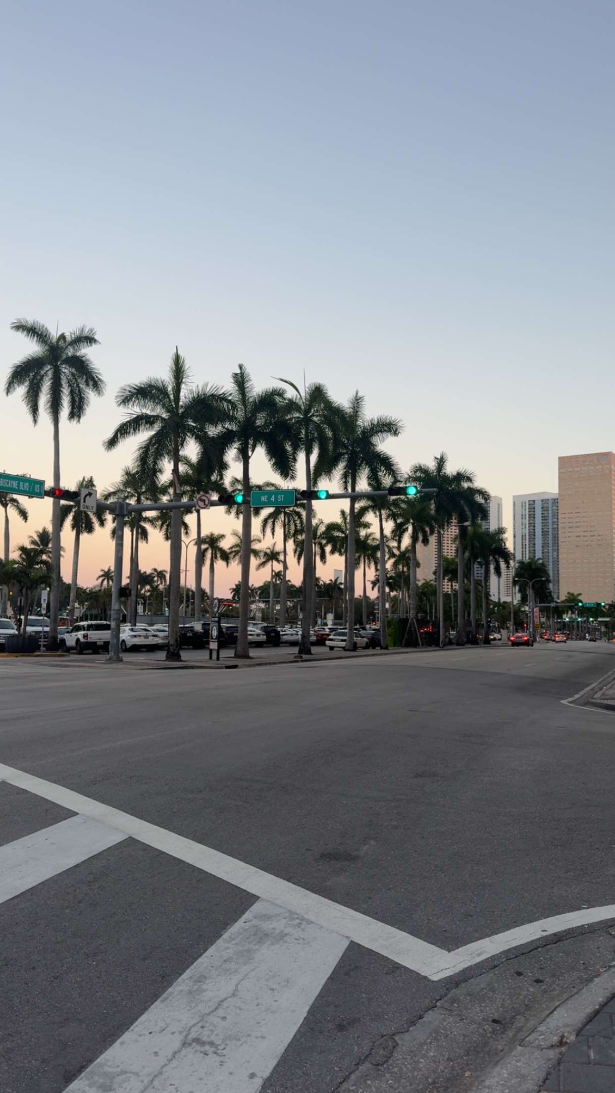 bellarenaldii snapchat image archive image