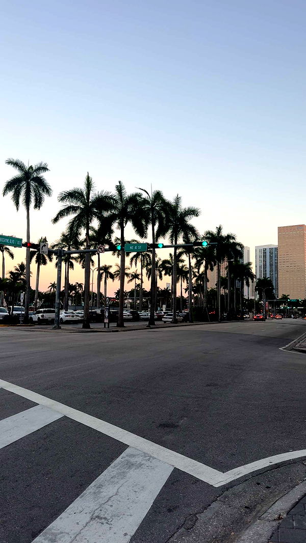 bellarenaldii image ~ Altpins