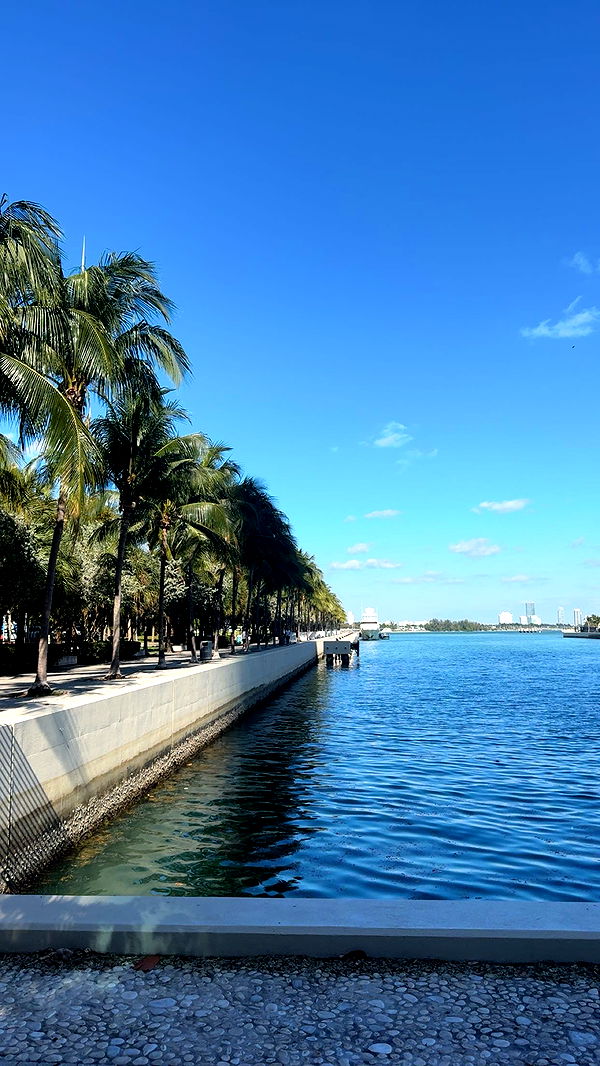 bellarenaldii image ~ Altpins