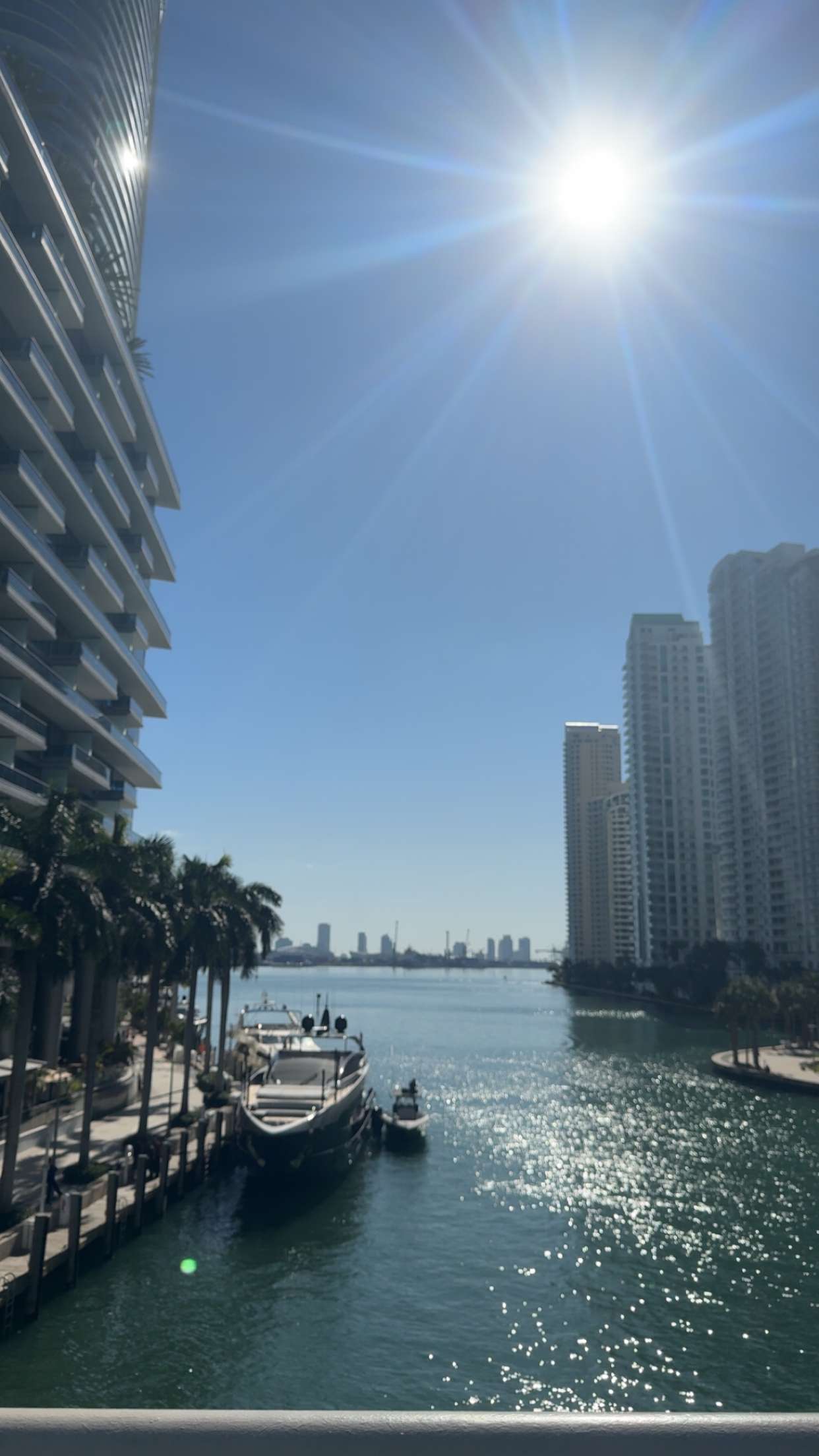 bellarenaldii snapchat image archive image