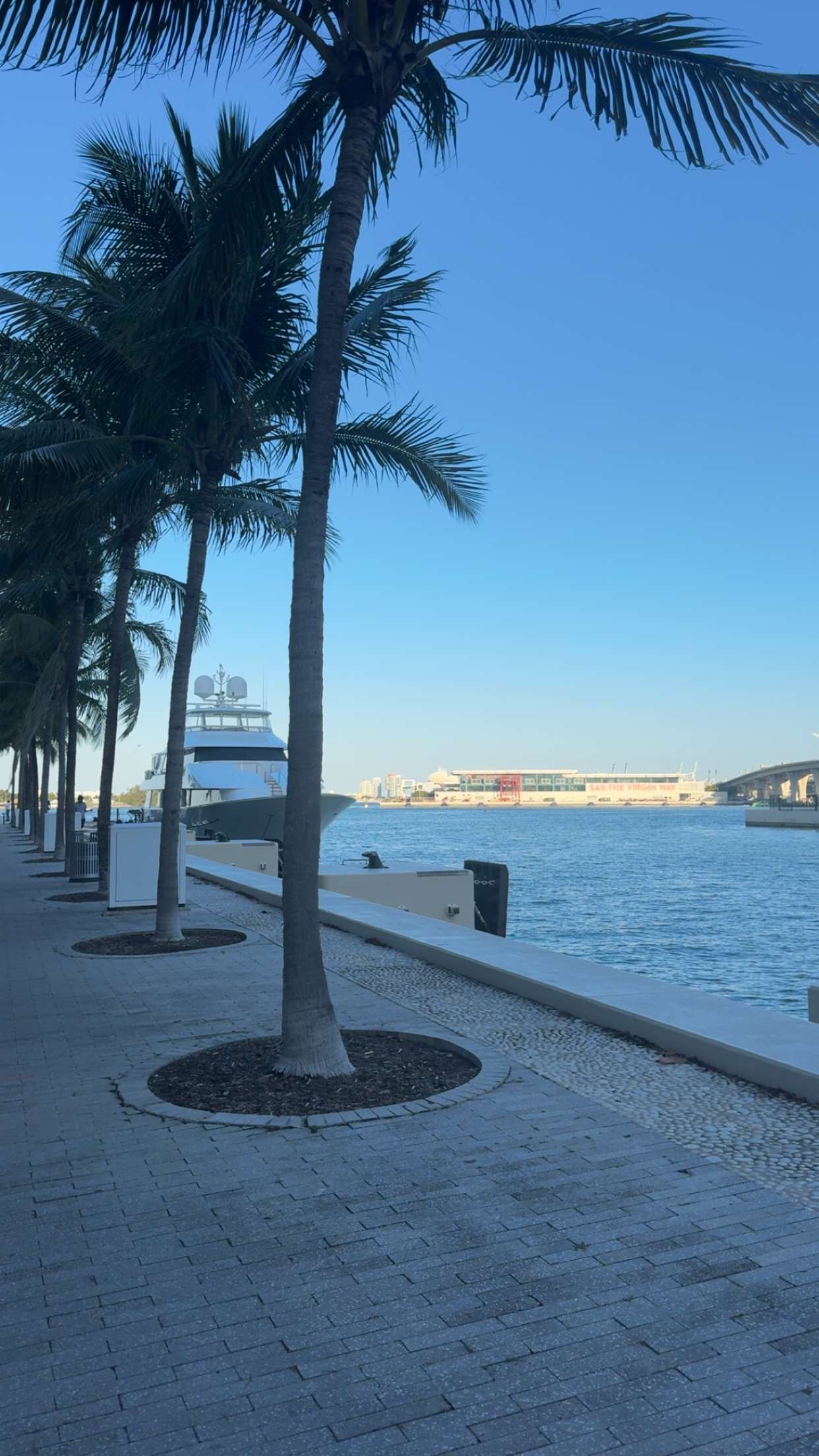 bellarenaldii snapchat image archive image