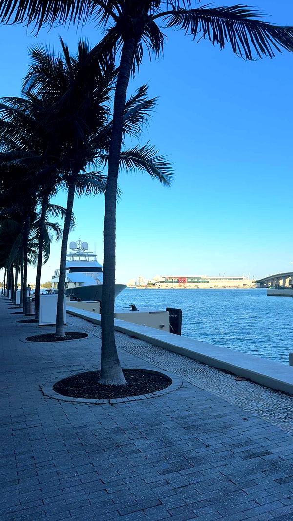 bellarenaldii image ~ Altpins