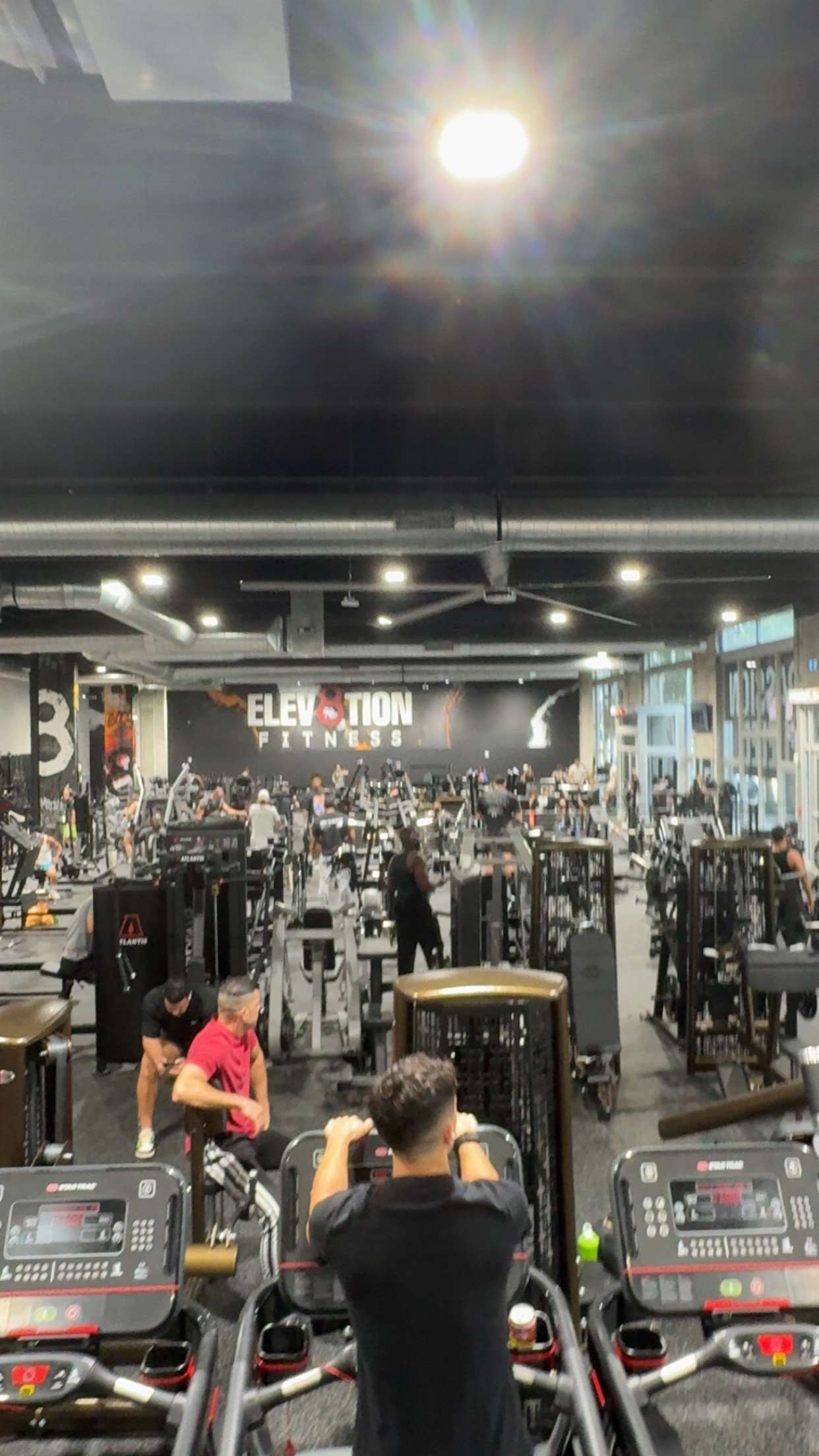 bellarenaldii snapchat image archive image