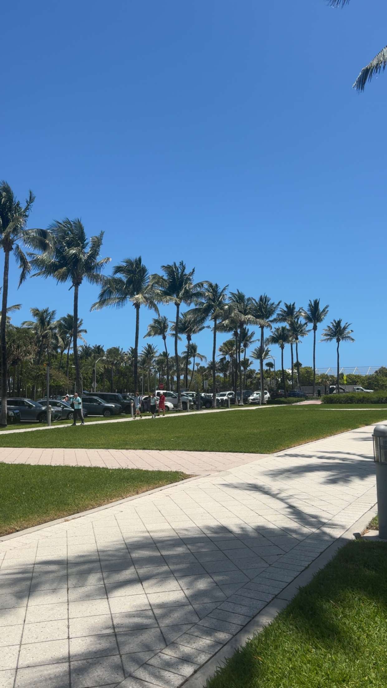 bellarenaldii snapchat image archive image