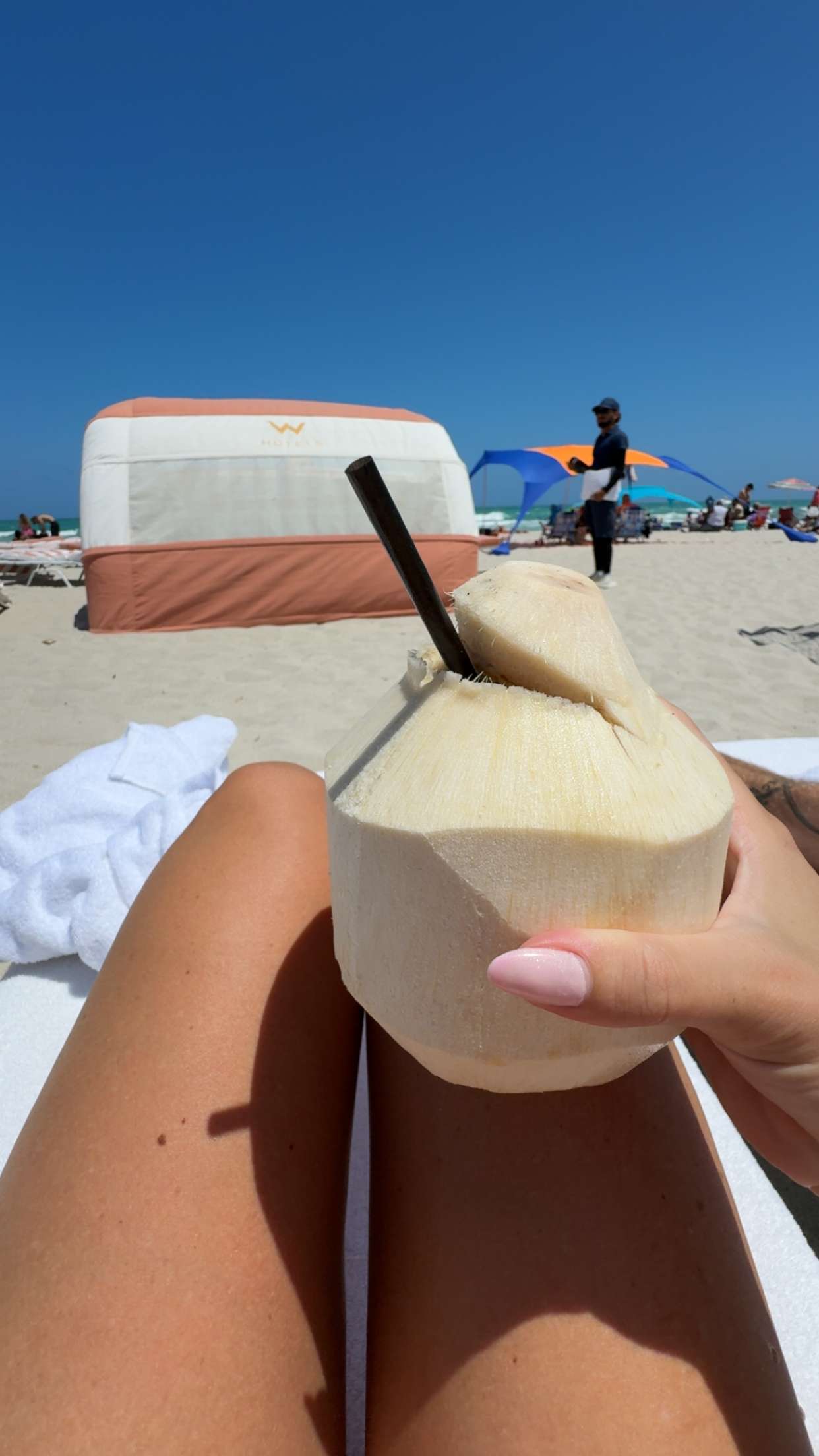 bellarenaldii snapchat image archive image