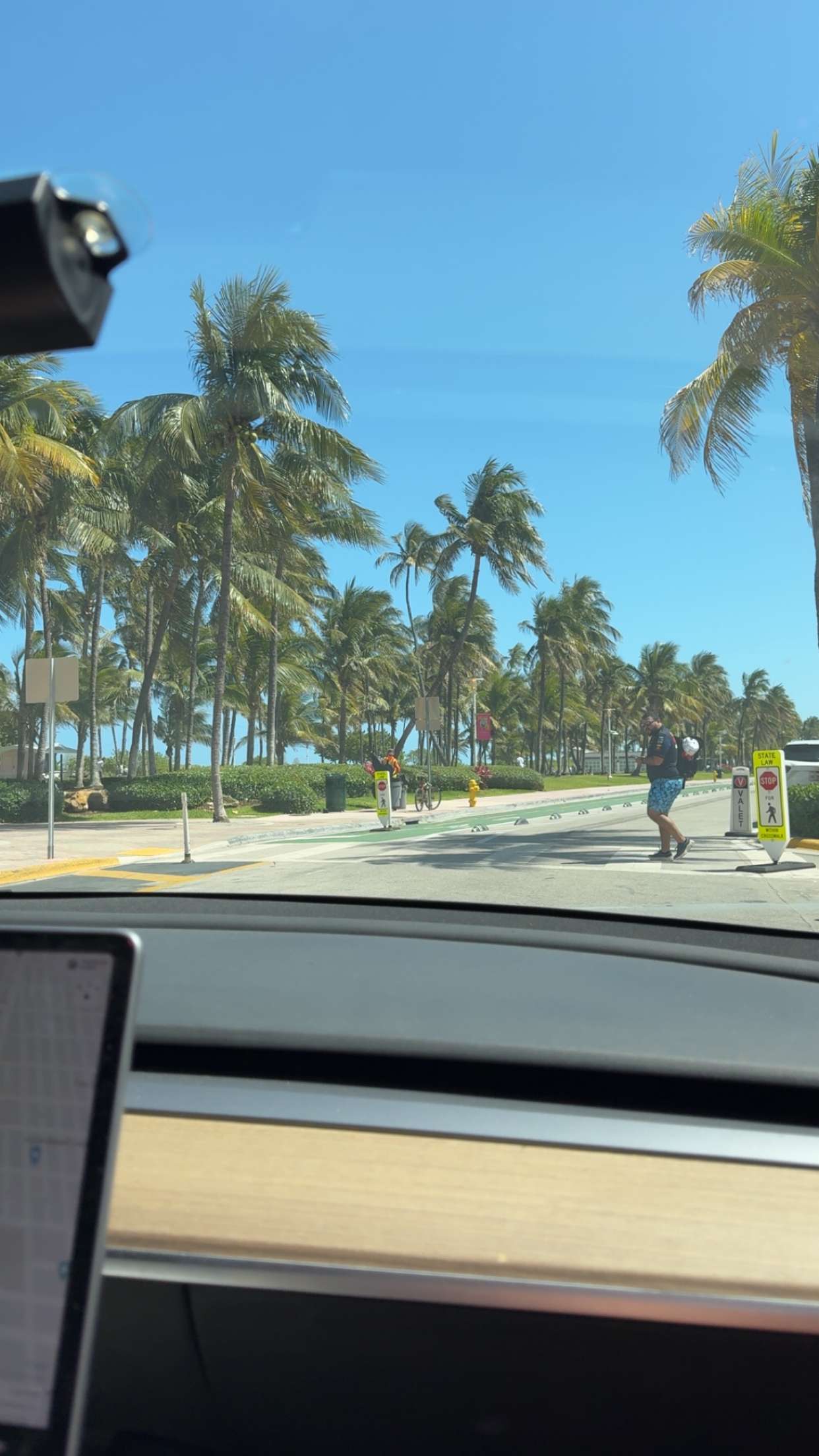 bellarenaldii snapchat image archive image