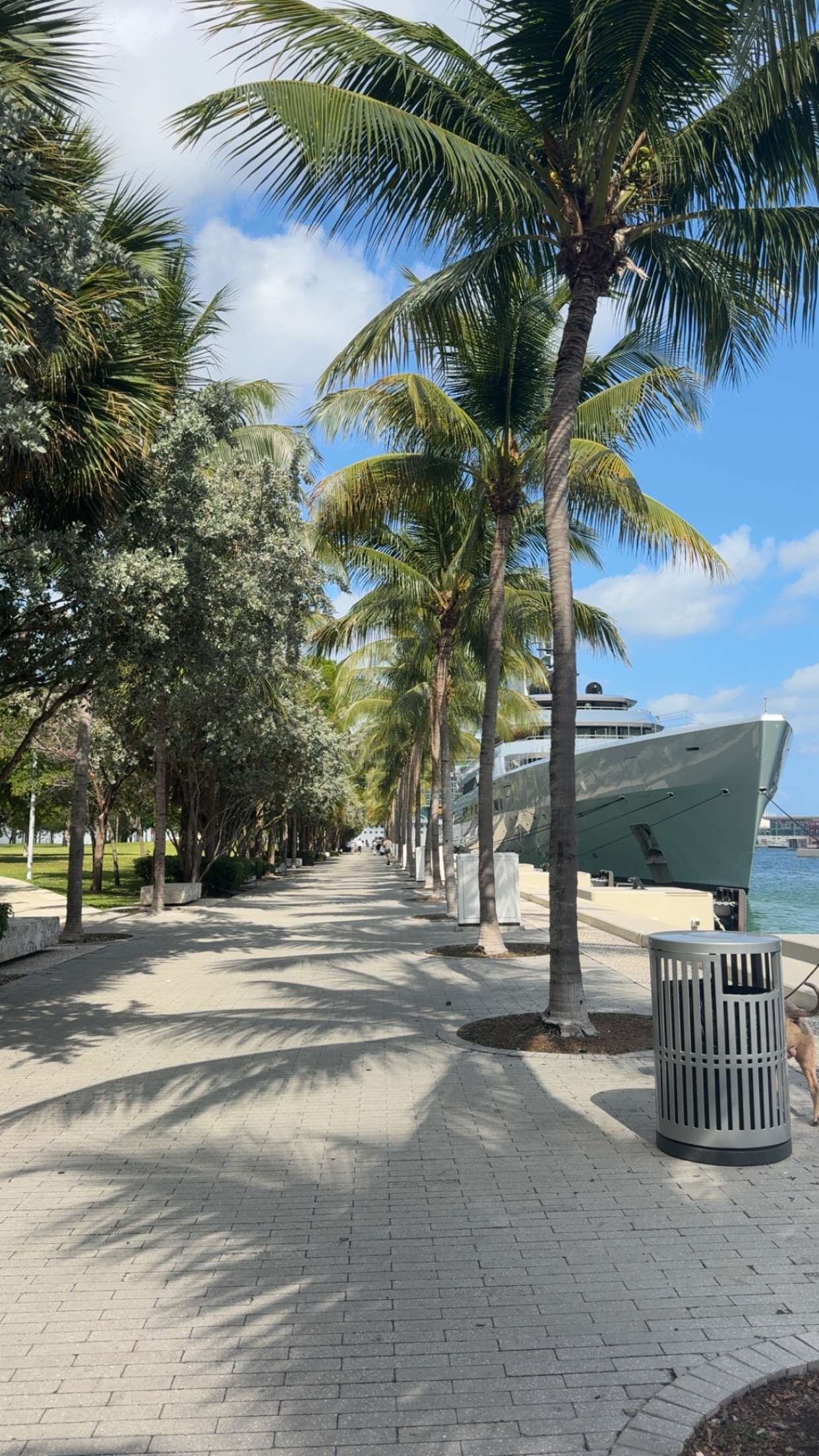 bellarenaldii snapchat image archive image