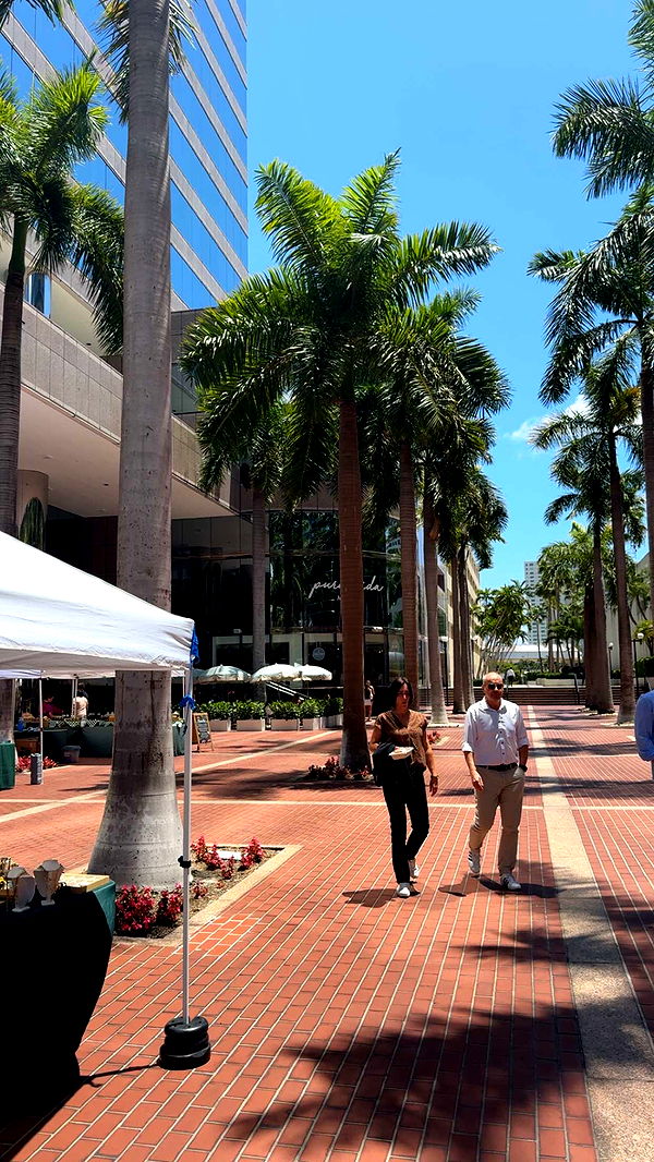 bellarenaldii image ~ Altpins