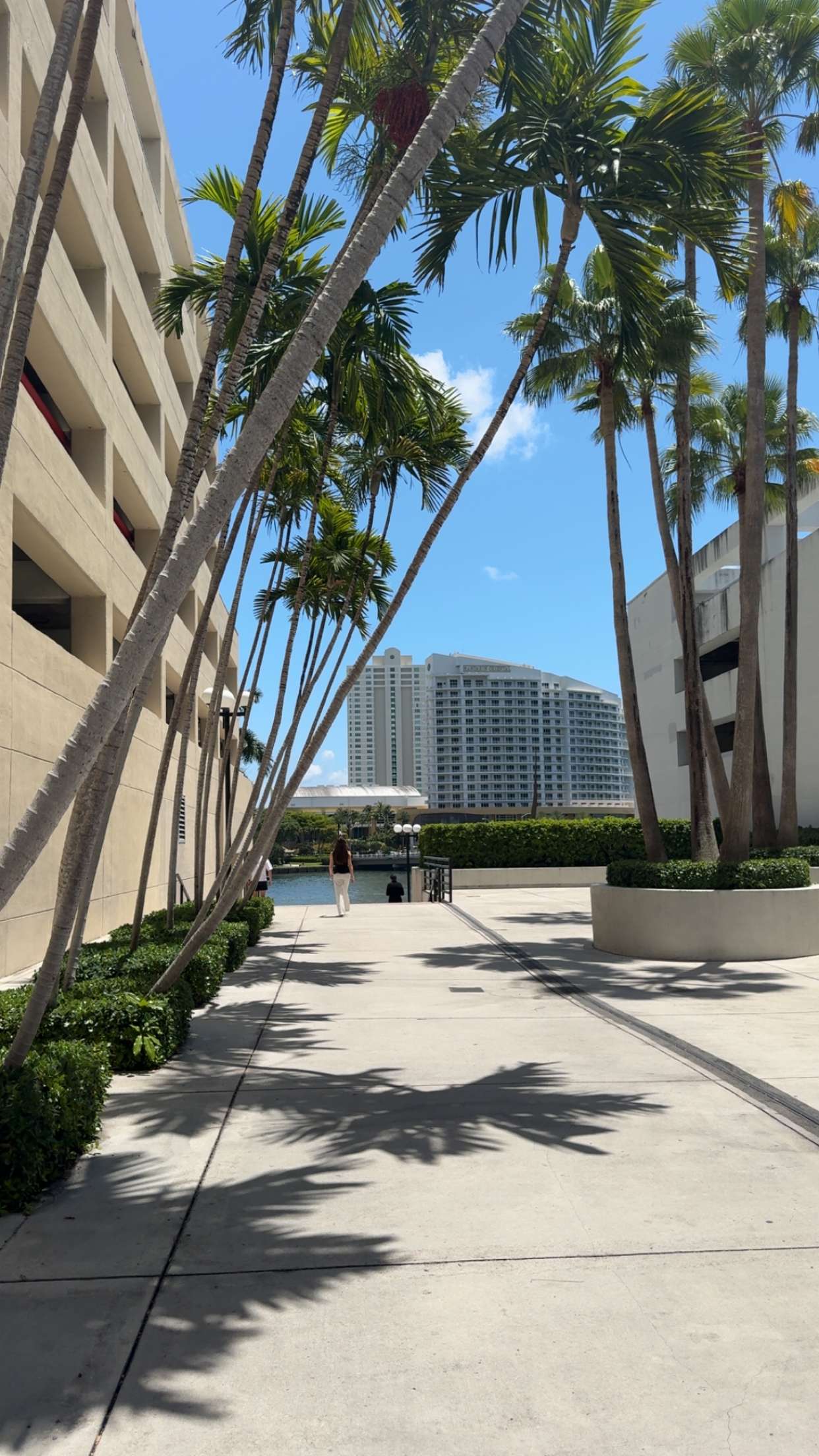 bellarenaldii snapchat image archive image