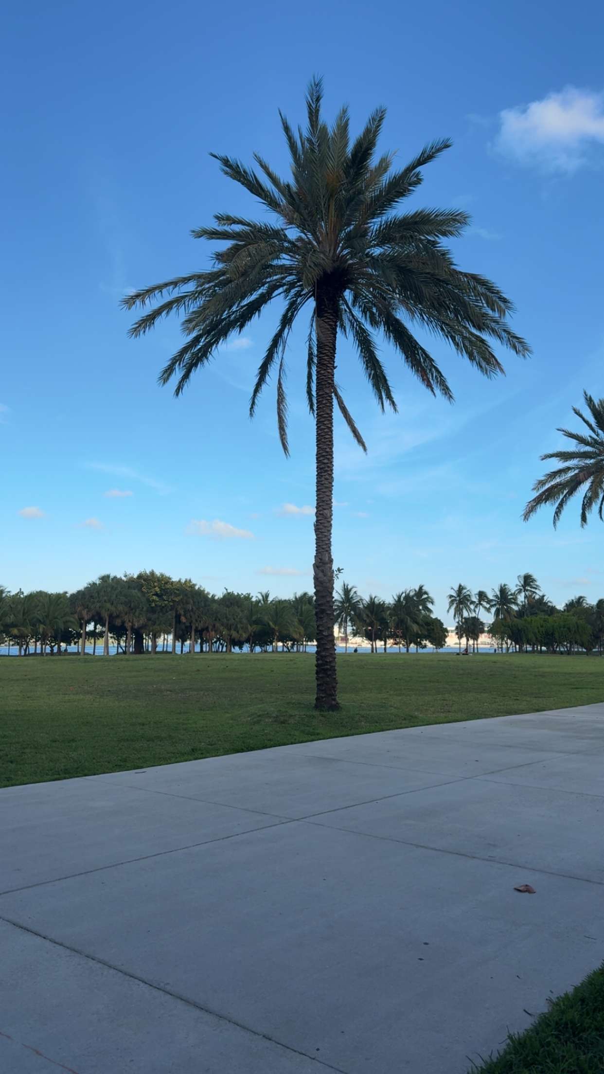 bellarenaldii snapchat image archive image