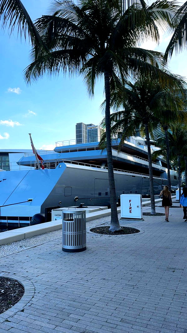 bellarenaldii image ~ Altpins