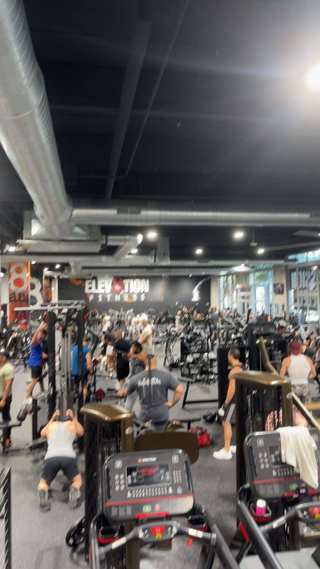 bellarenaldii snapchat image archive image