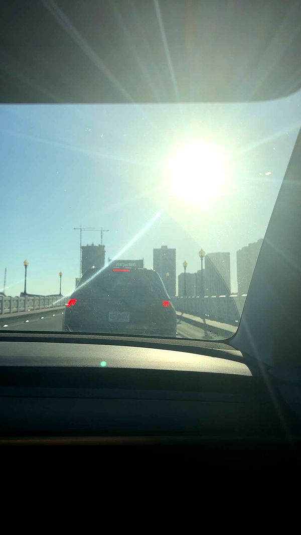 bellarenaldii image ~ Altpins