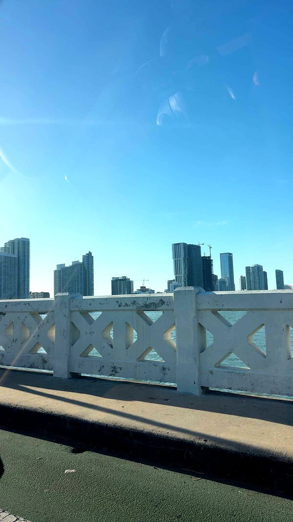 bellarenaldii image ~ Altpins