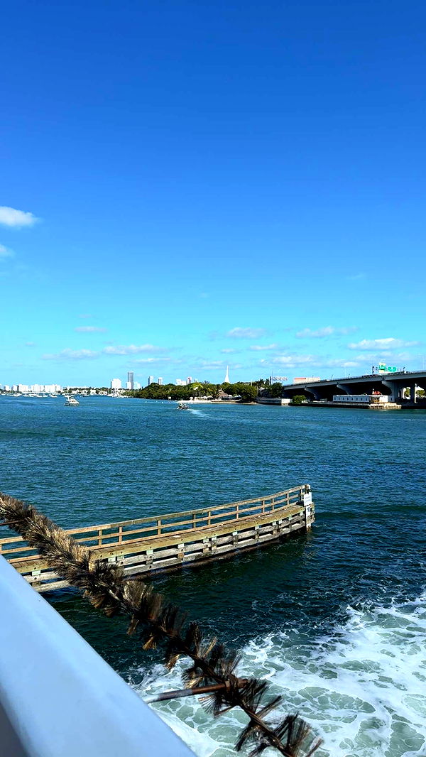 bellarenaldii image ~ Altpins