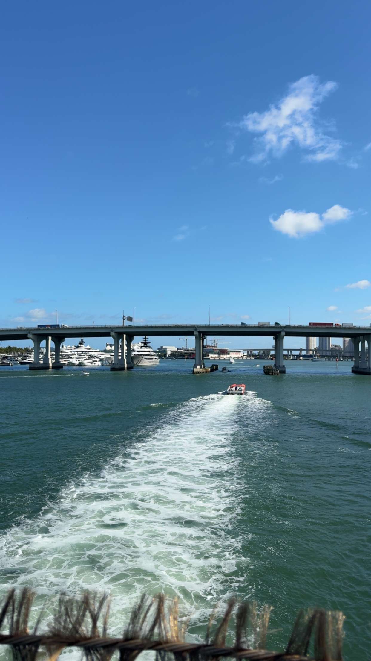 bellarenaldii snapchat image archive image