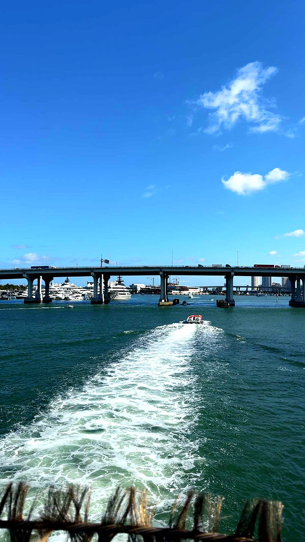 bellarenaldii image ~ Altpins