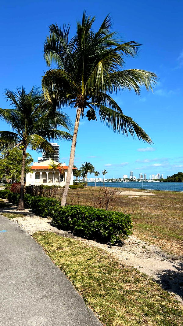 bellarenaldii image ~ Altpins