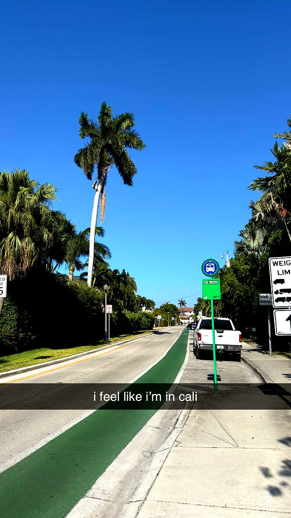 bellarenaldii image ~ Altpins