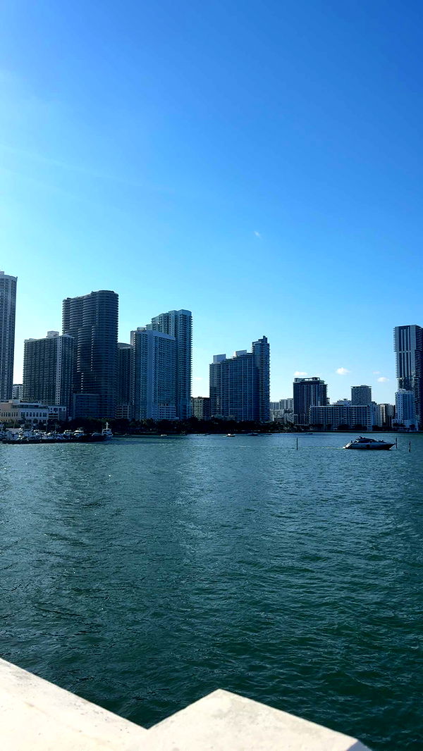 bellarenaldii image ~ Altpins